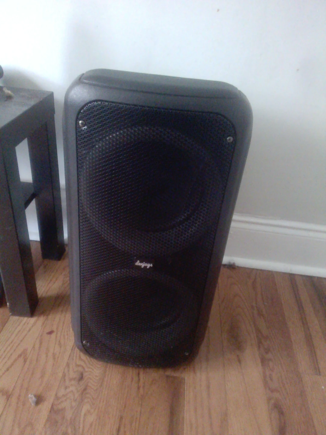 DJays Dual Speaker PA System