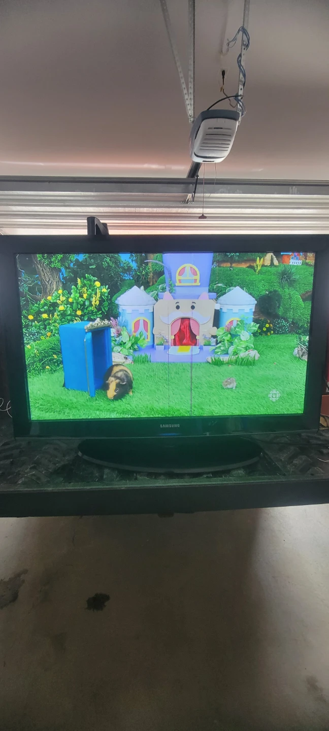Samsung Plasma Display TV - photo 3