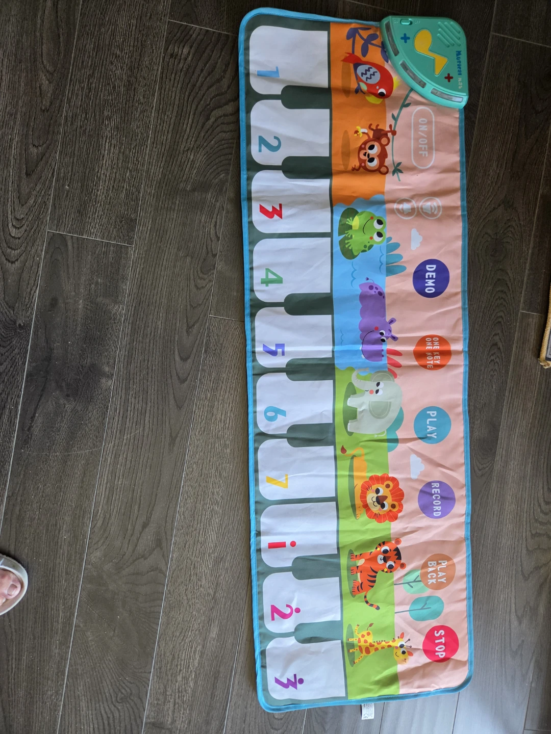 Musical Mat for Kids