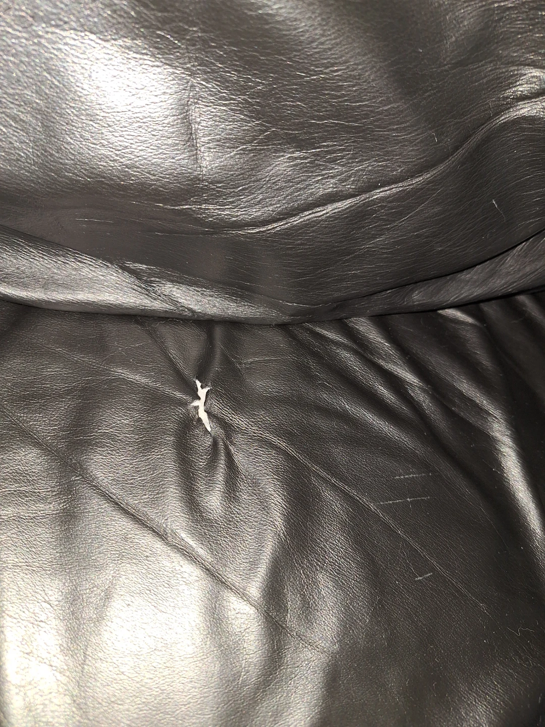 Free Couch - photo 2
