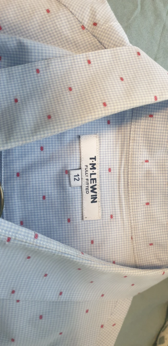 T.M. Lewin Blue Gingham with Red Dots - photo 3