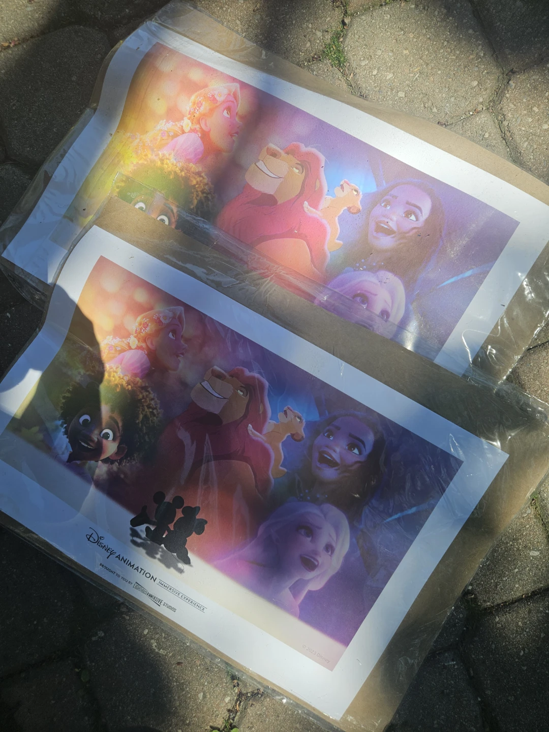 Disney Animation Immersive Experience Art Prints (Set of 2)