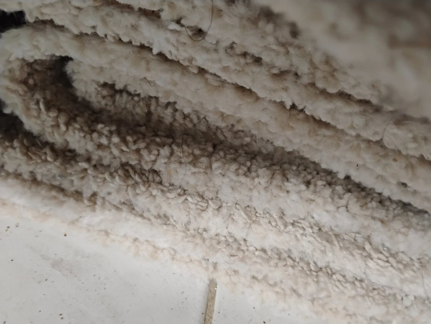 Beige Carpet Remnant - photo 4