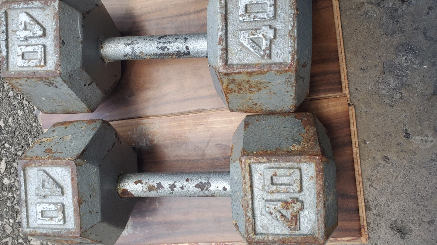 40 lb Hex Dumbbells (Pair)