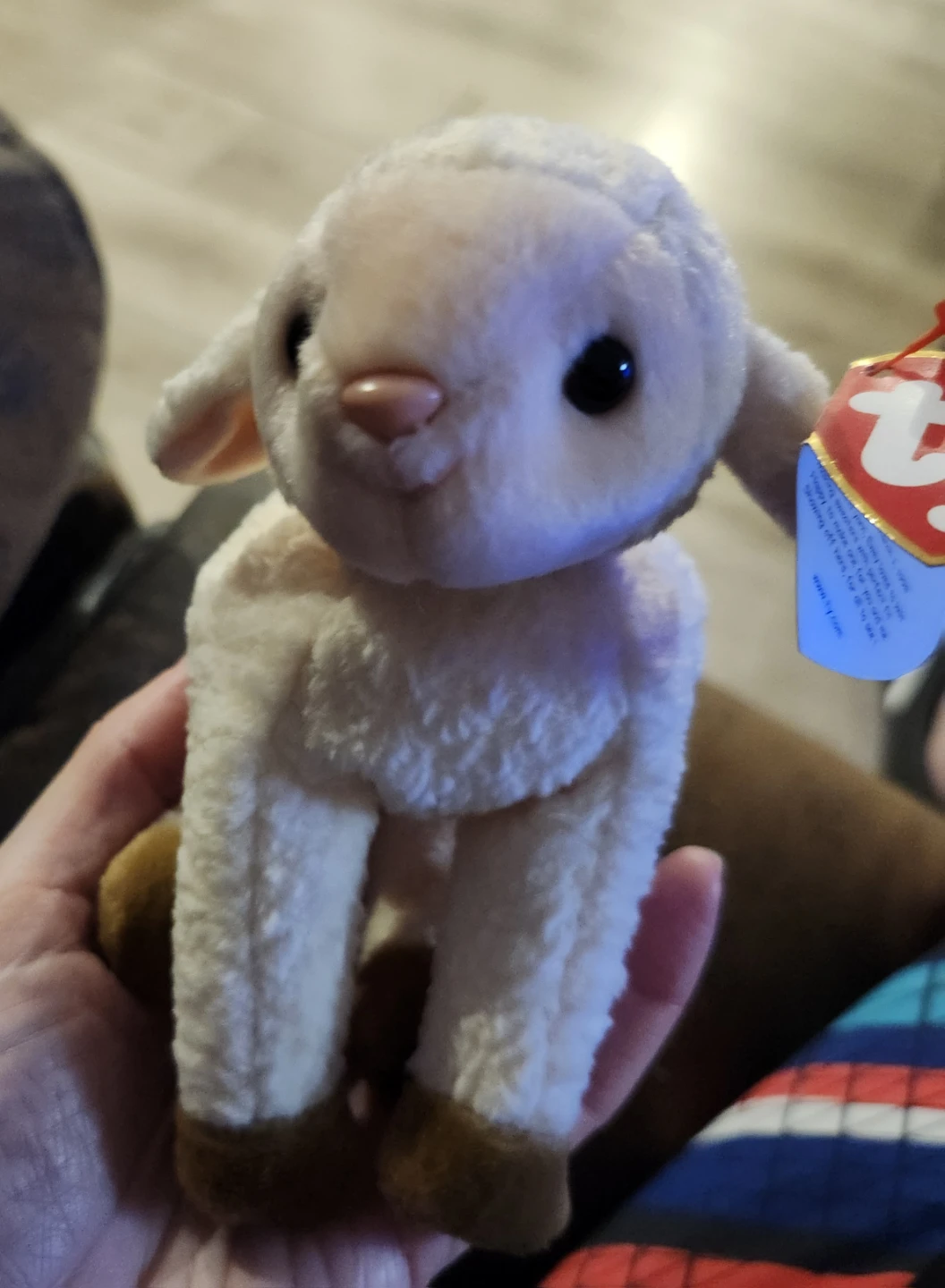 $10 beanie babies