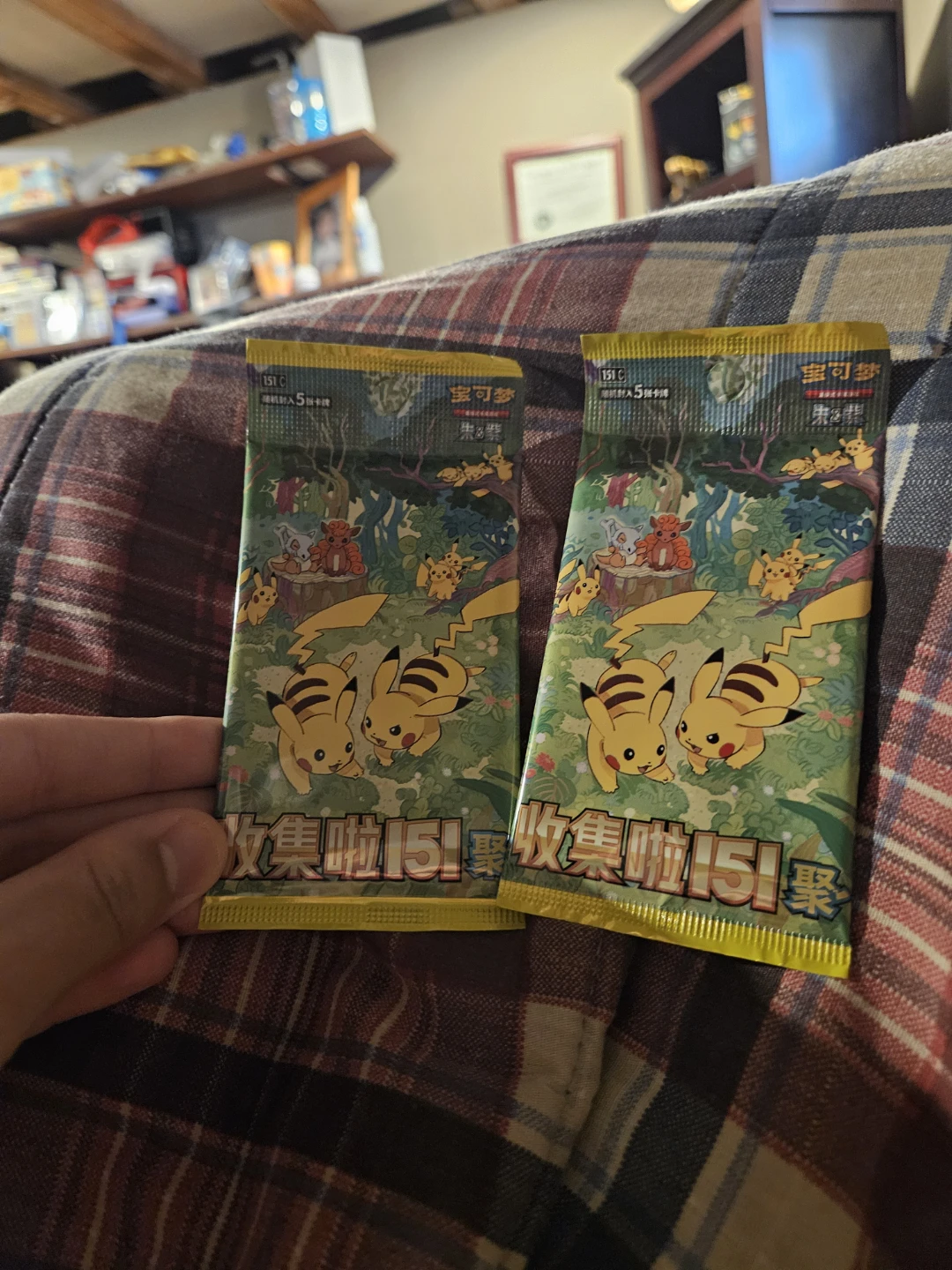 Pokemon TCG: 2 CHINESE 151 PACKS = LONG ISLAND MEET-UPS ONLY!!!!
