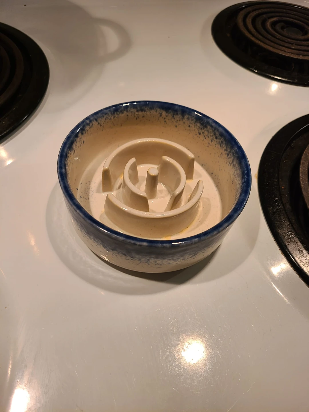 Ceramic Slow Feeder Pet Bowl - photo 4