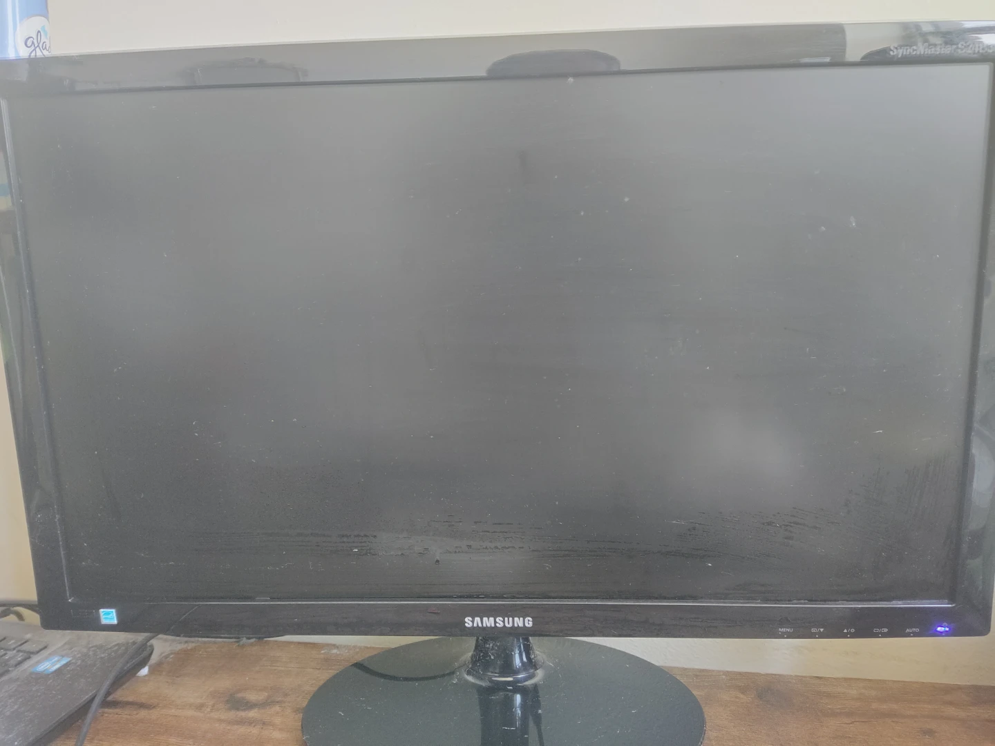 Samsung SyncMaster S24B300 24" Monitor