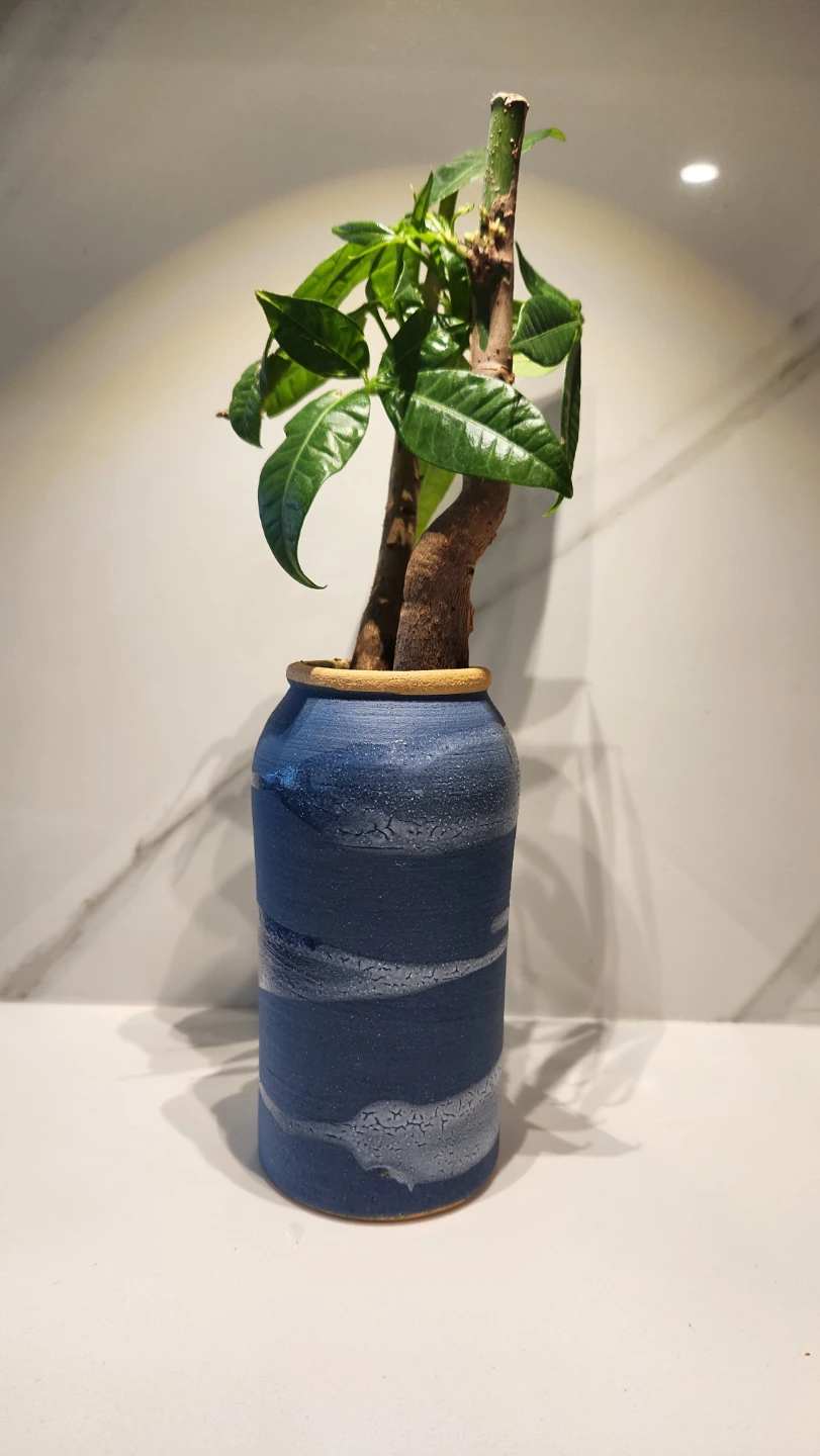 Caribbean blue pottery planter with plant