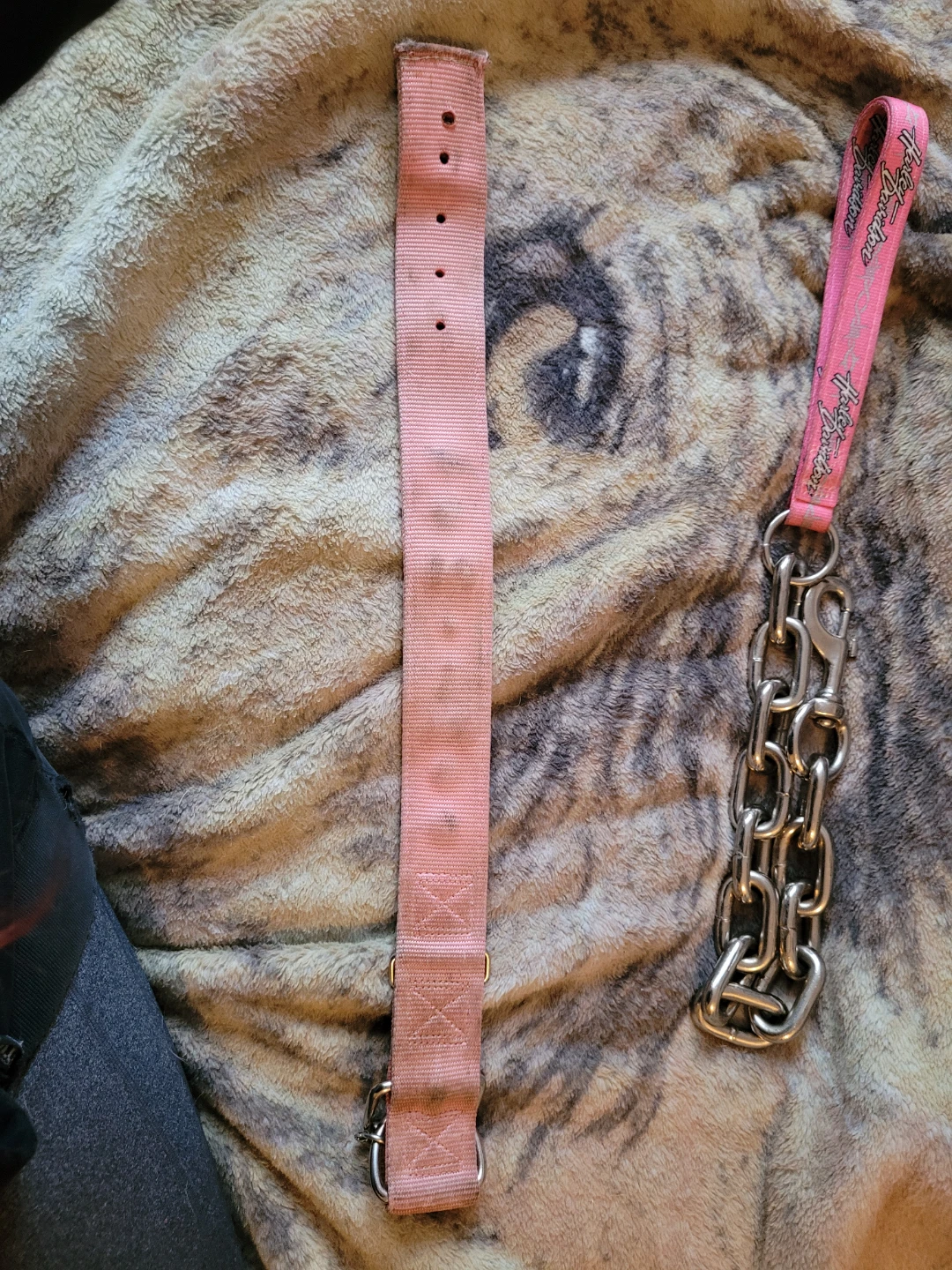 Harley-Davidson Pink Dog Collar and Chain Leash Set - photo 3