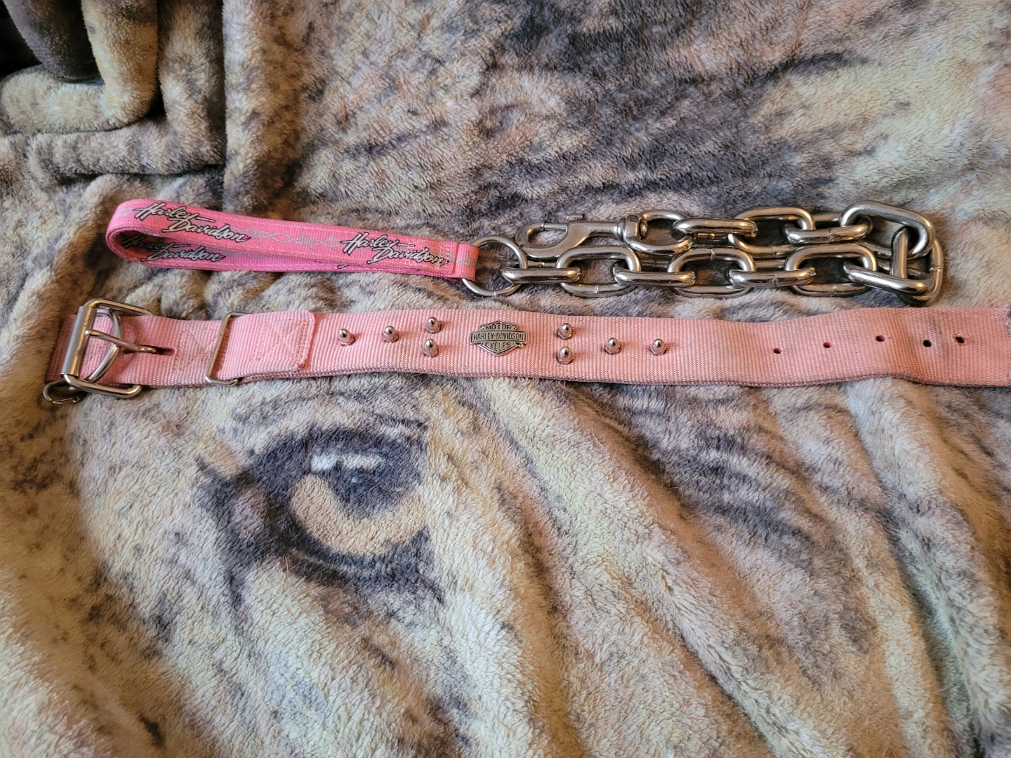 Harley-Davidson Pink Dog Collar and Chain Leash Set - photo 4