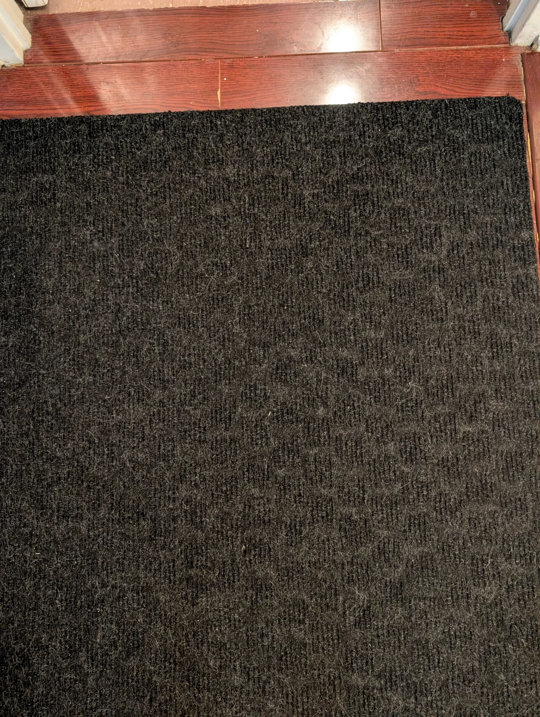 Black Carpet Mat - photo 3