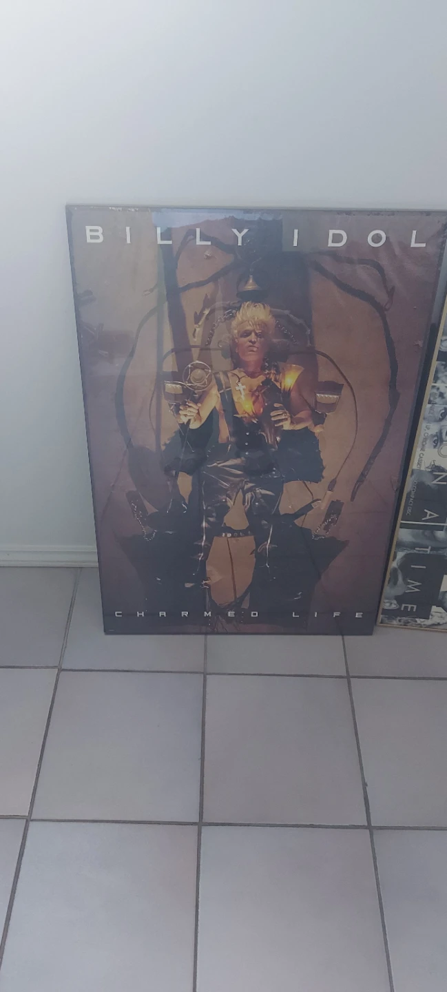 Billy Idol "Charmed Life" Vinyl Record