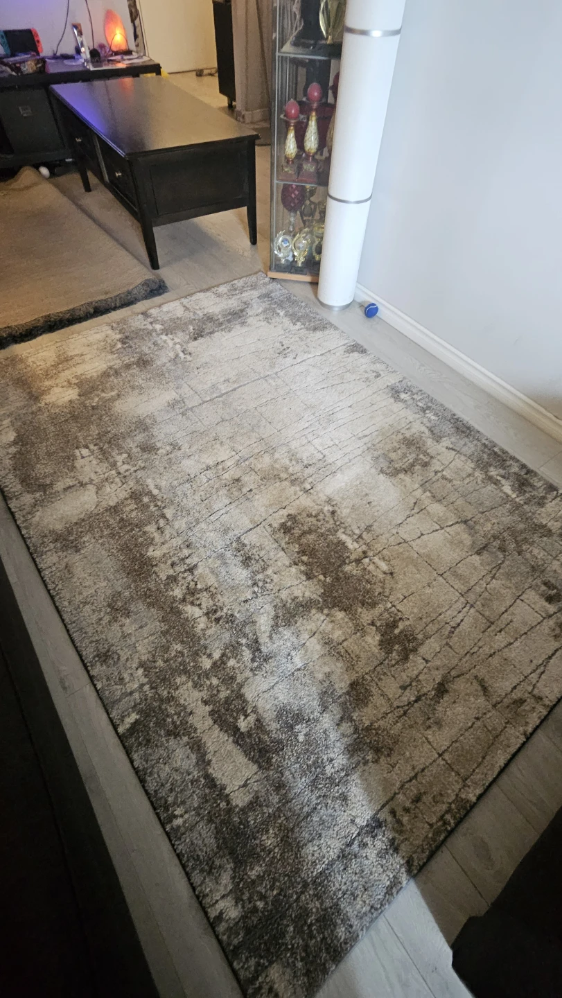 Area Rug - Gray/Neutral/Beige