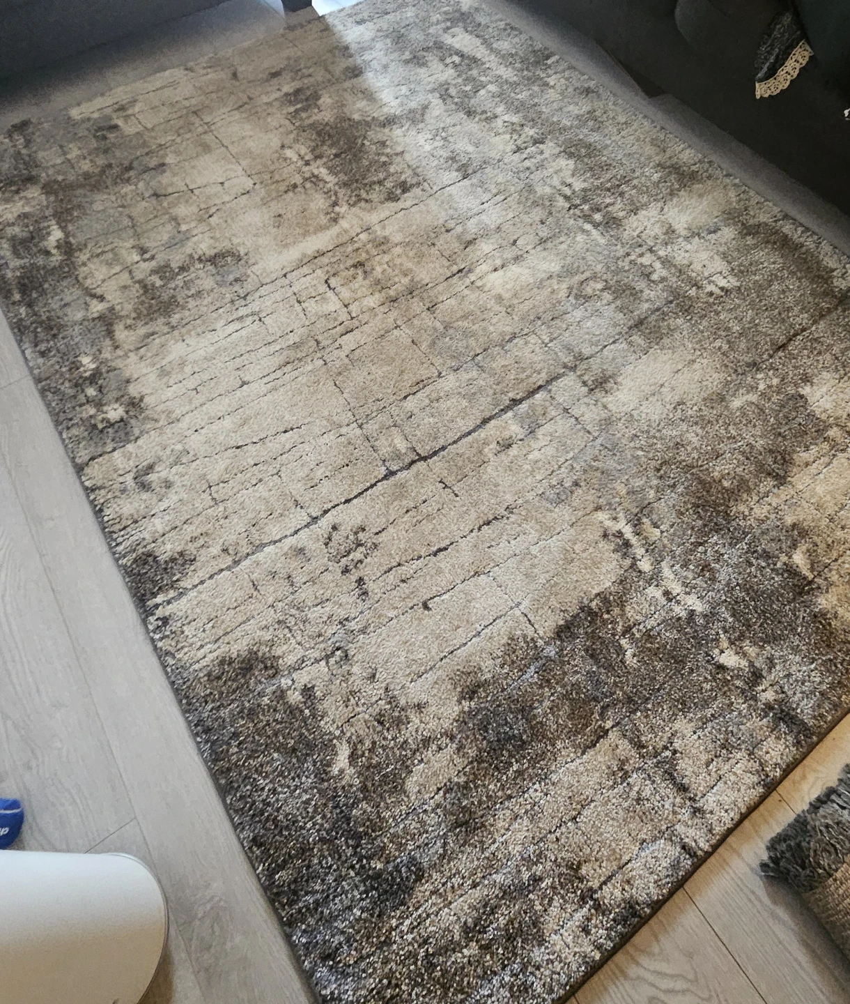 Area Rug - Gray/Neutral/Beige - photo 2