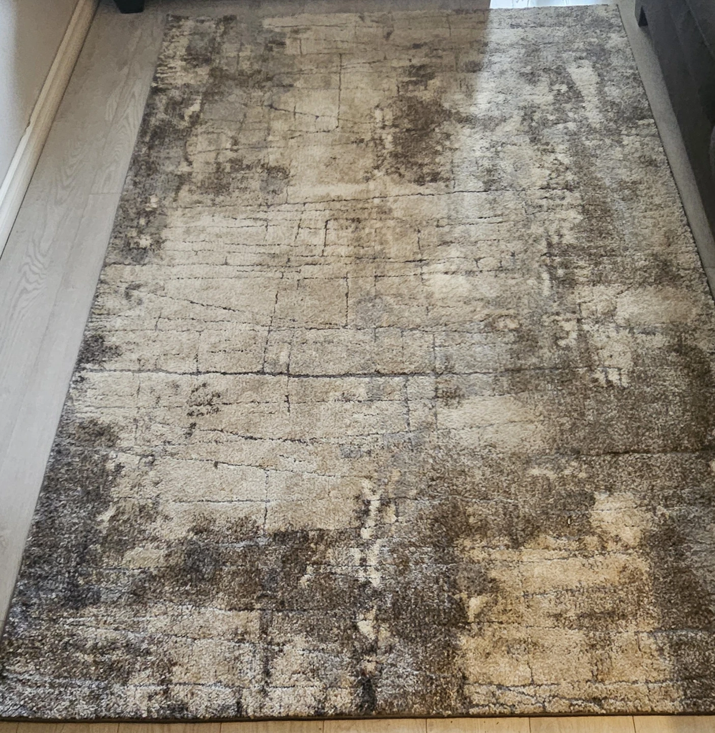 Area Rug - Gray/Neutral/Beige - photo 4