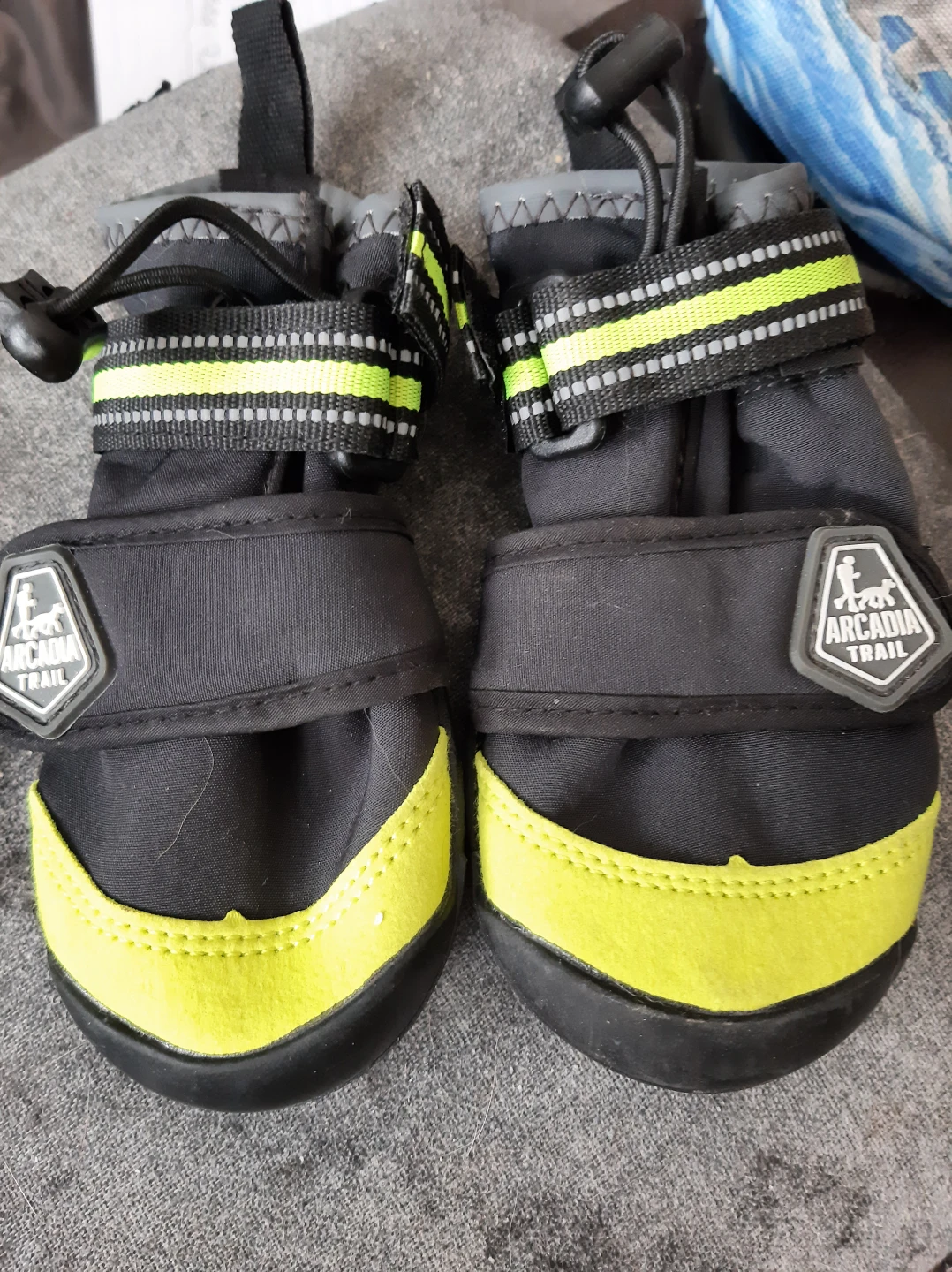 Arcadia Trail Dog Boots