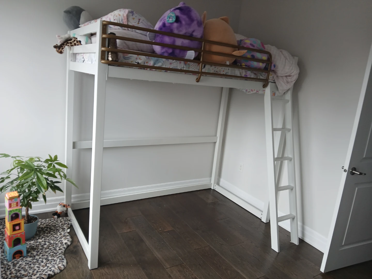 White Loft Bed with Ladder