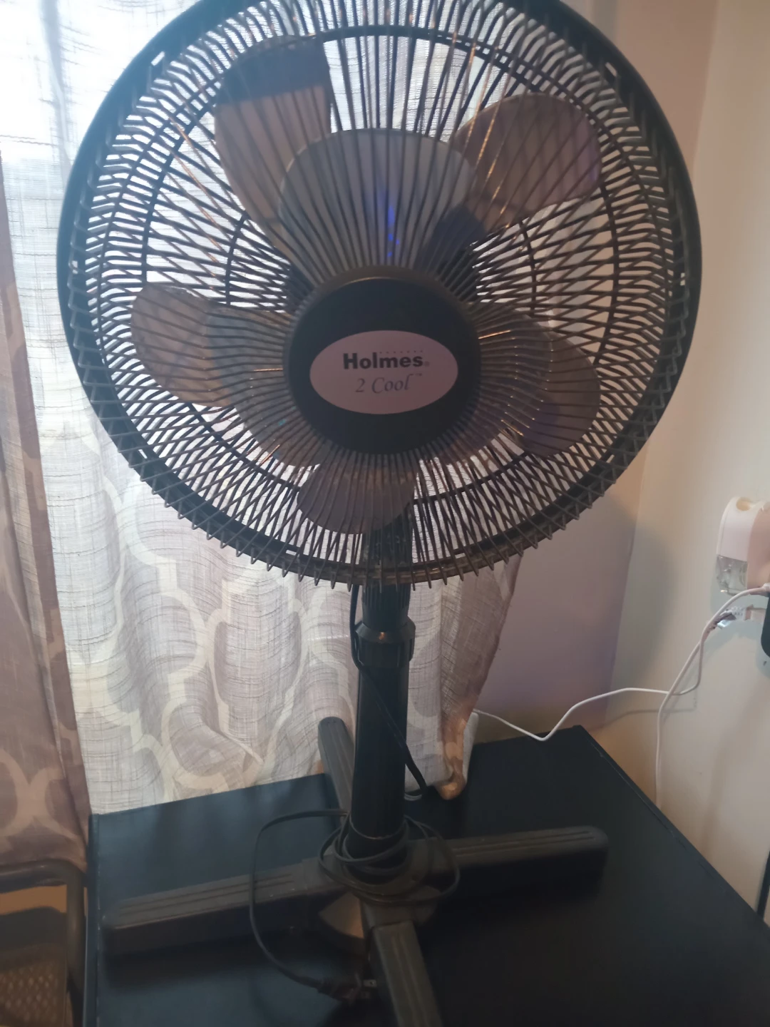 Holmes 2 Cool Standing mini fan