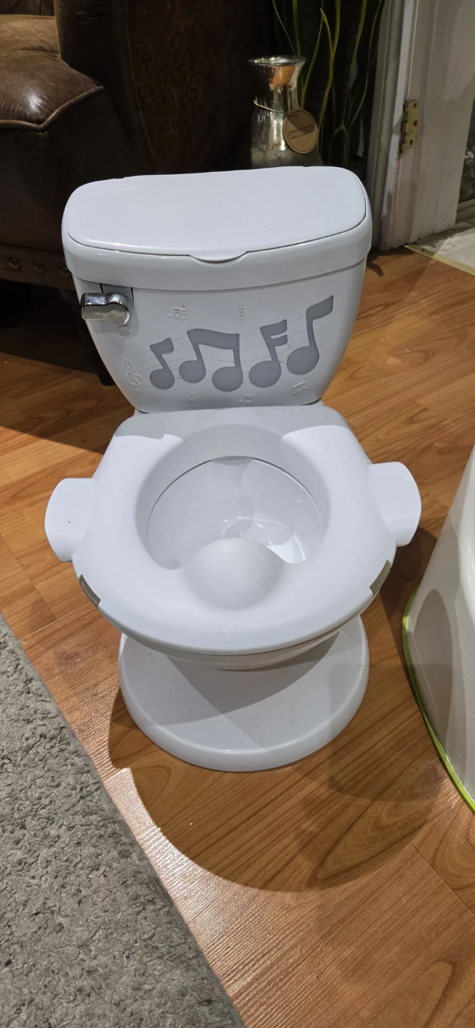 Potty training set: Learn-to-Flush Toilet & a Children's Potty - photo 2
