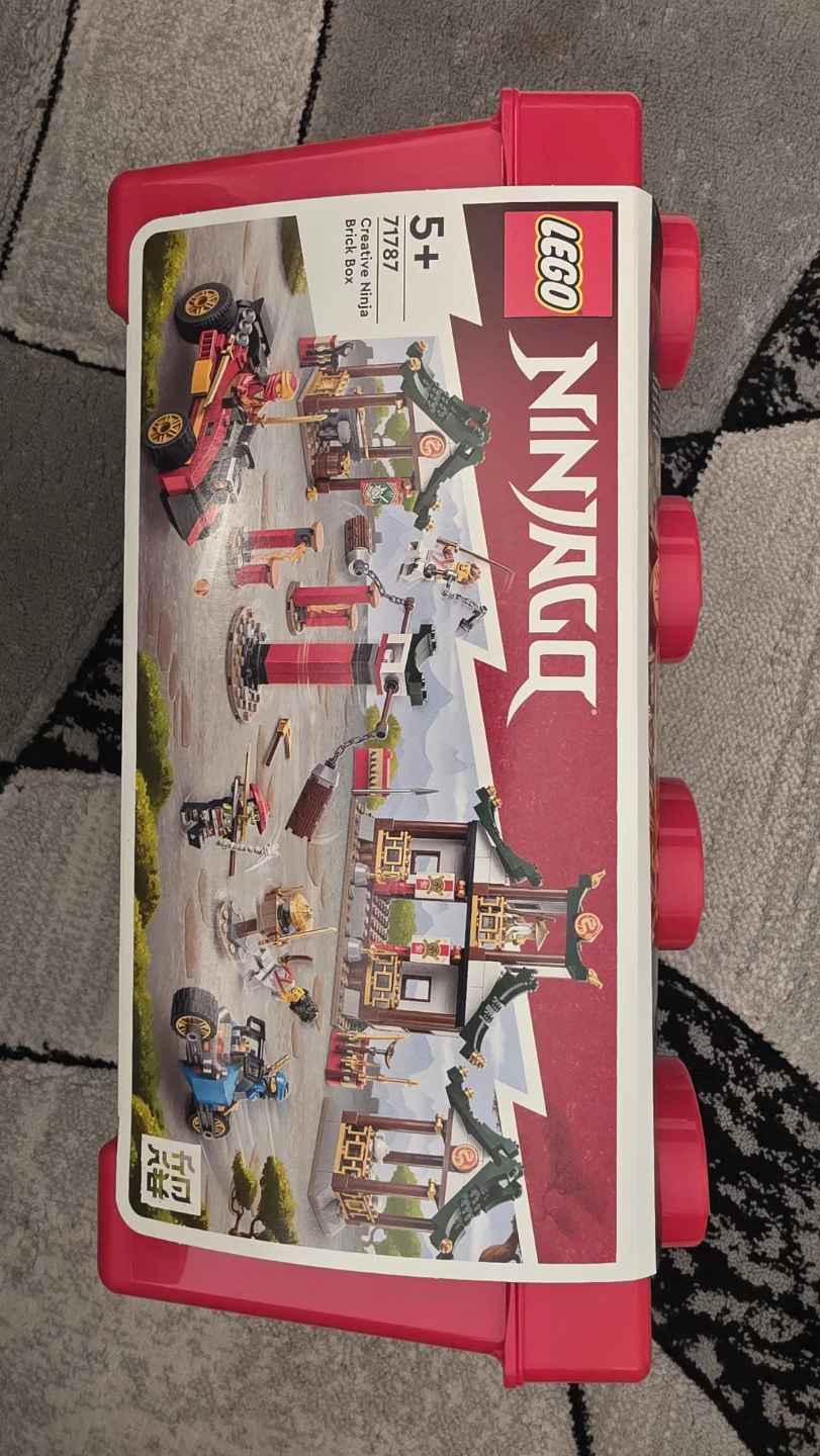 LEGO Ninjago Creative Ninja Brick Box 71787