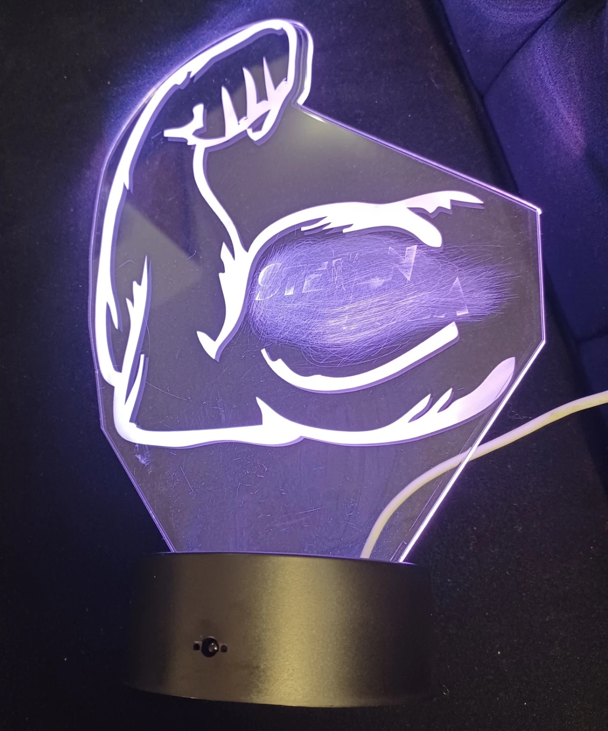 LED Arm Lamp - photo 3