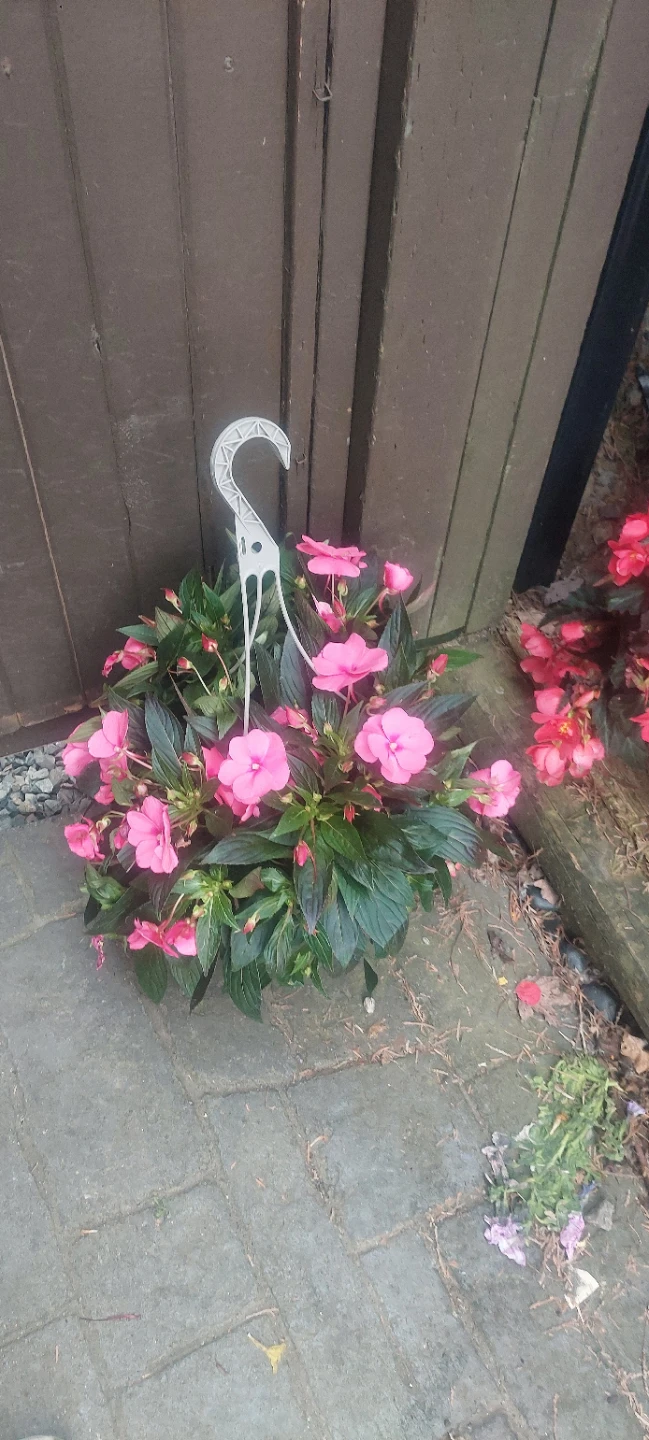 Hanging Basket Flowers - Pink & Red - photo 2