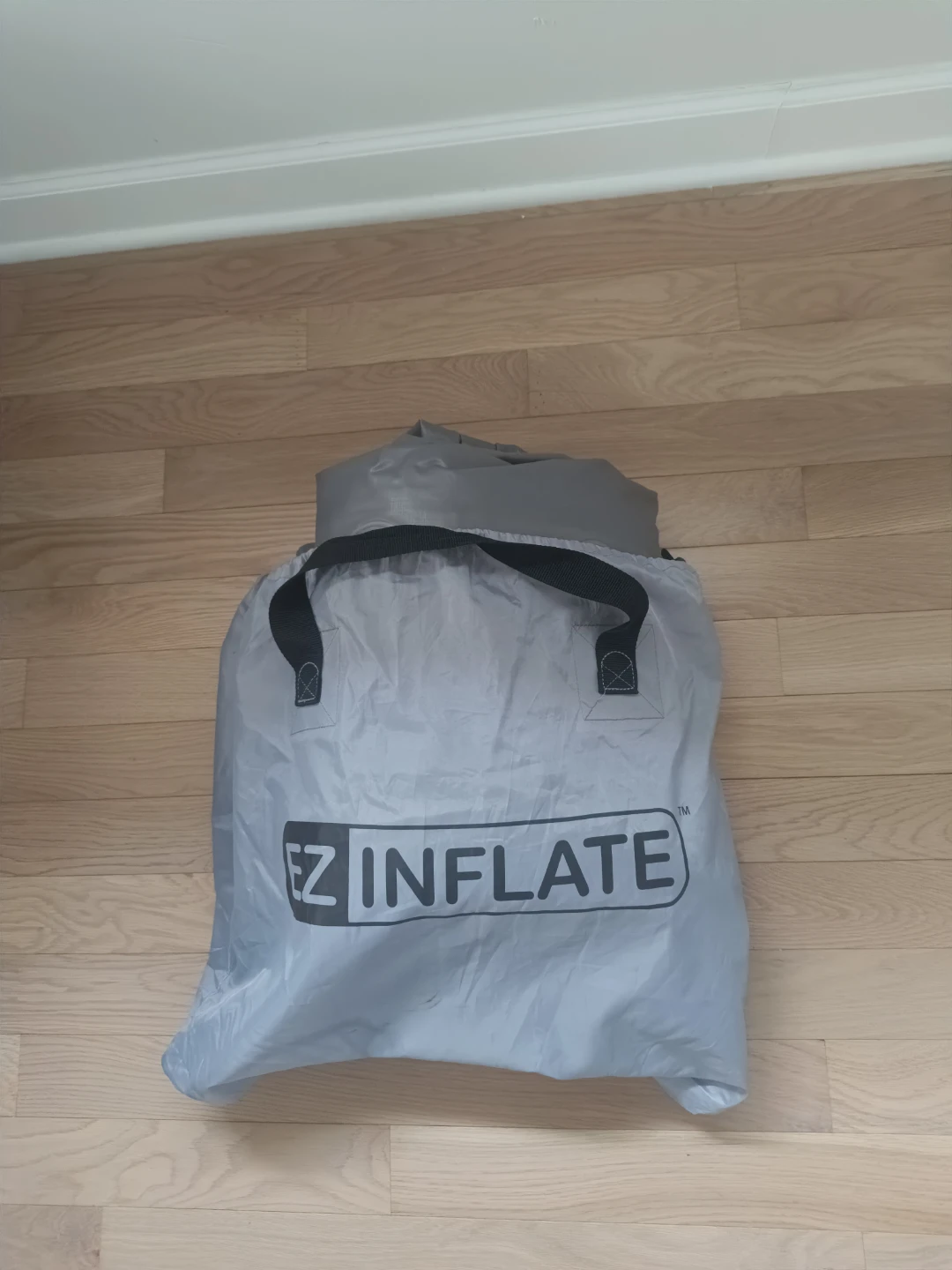 EZ Inflate twink Air Mattress with Built-in Pump