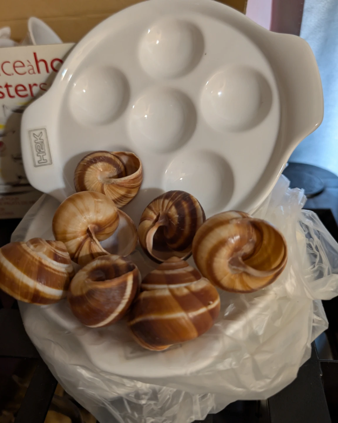 Stokes Lobster Service Set with Snail Dish - photo 2