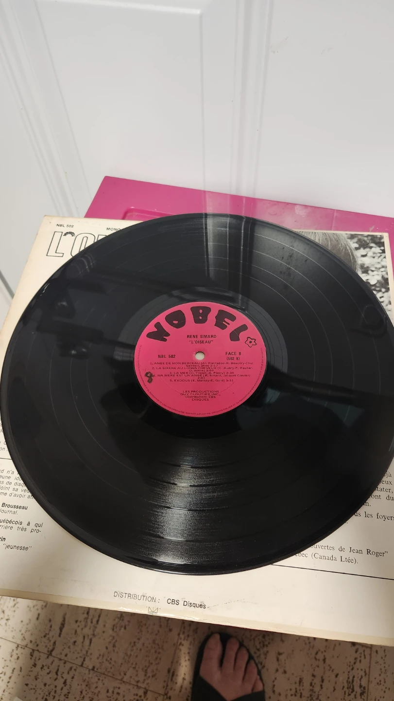 Rene Simard L'Oiseau Vinyl Record - photo 3