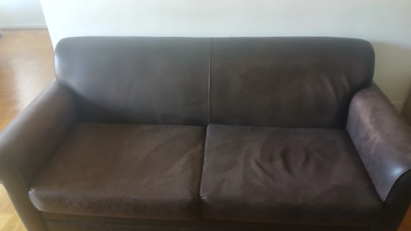 Brown Leather Sofa