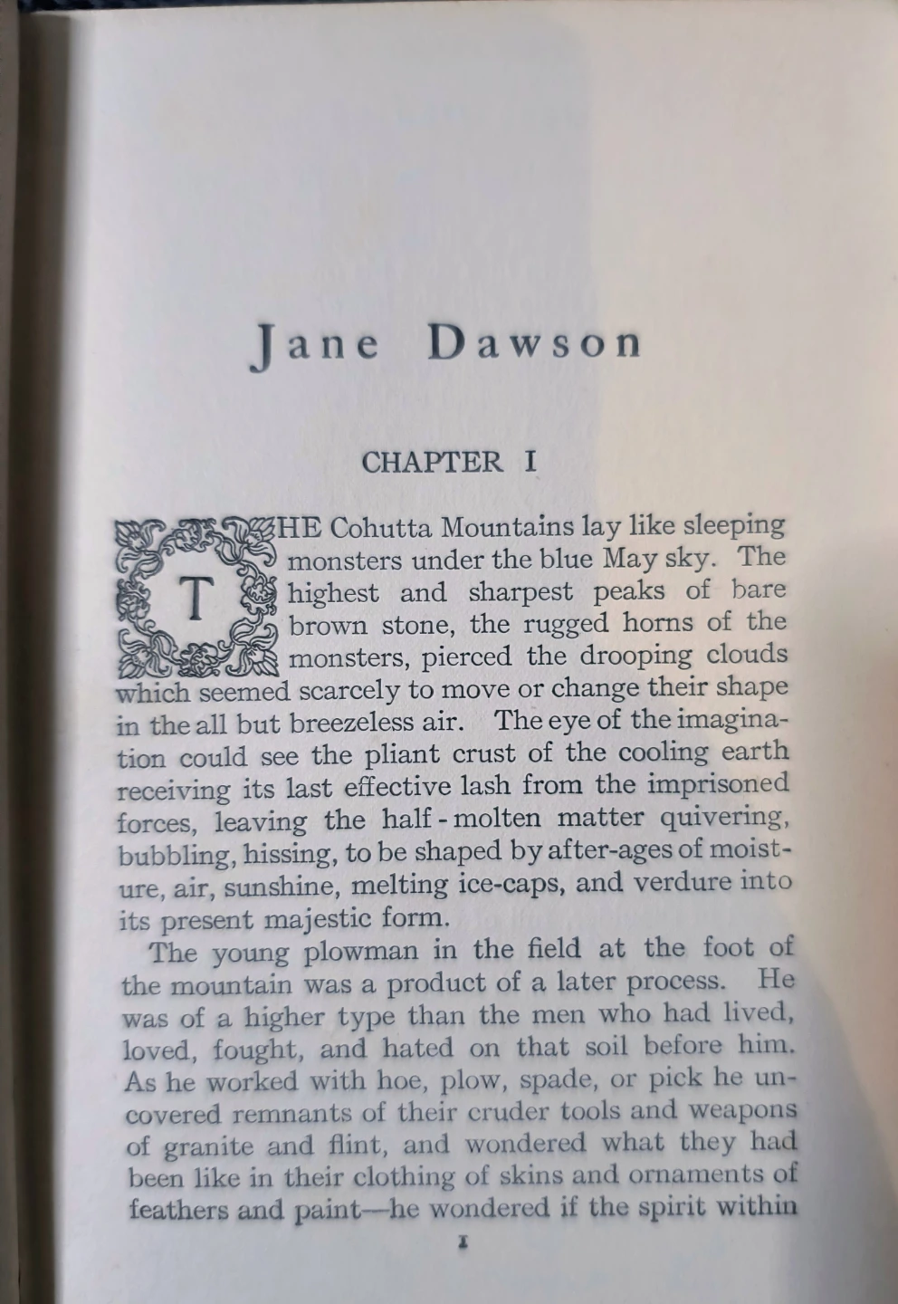Jane Dawson by Will N. Harben Novel - photo 4