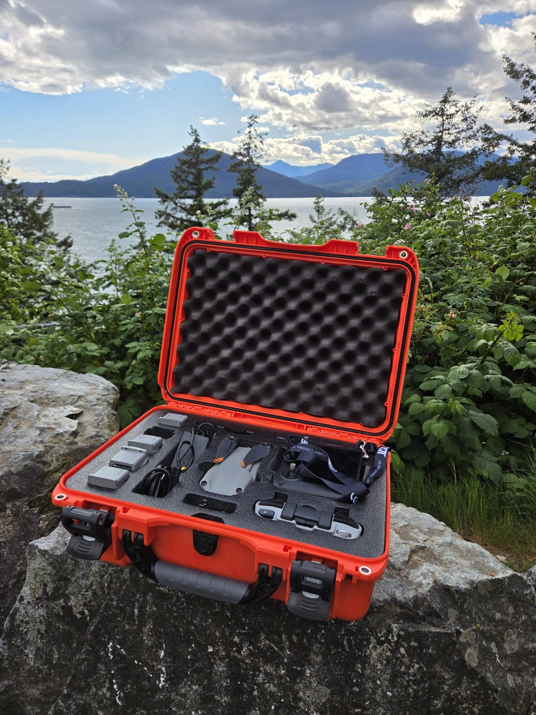 Drone