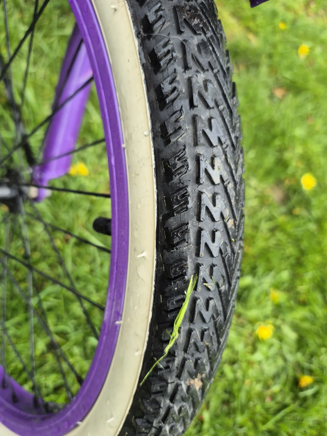 Columbia Kids Bicycle - Purple - photo 5