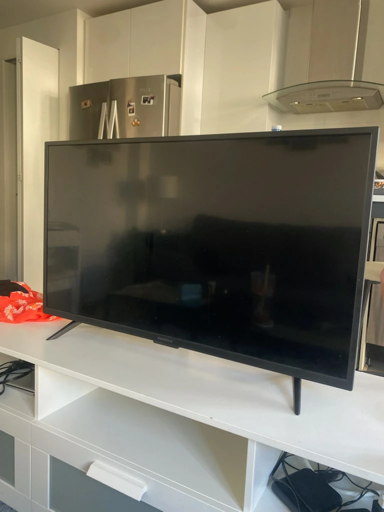 Insignia Flat Screen TV