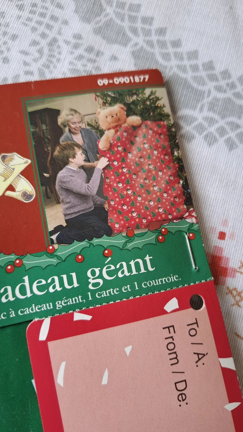 Giant Gift Bag with Tag - photo 3