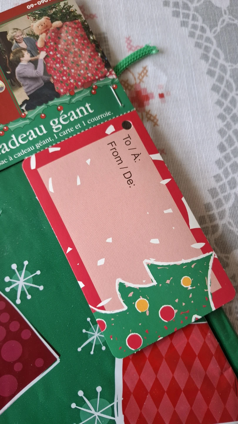 Giant Gift Bag with Tag - photo 4