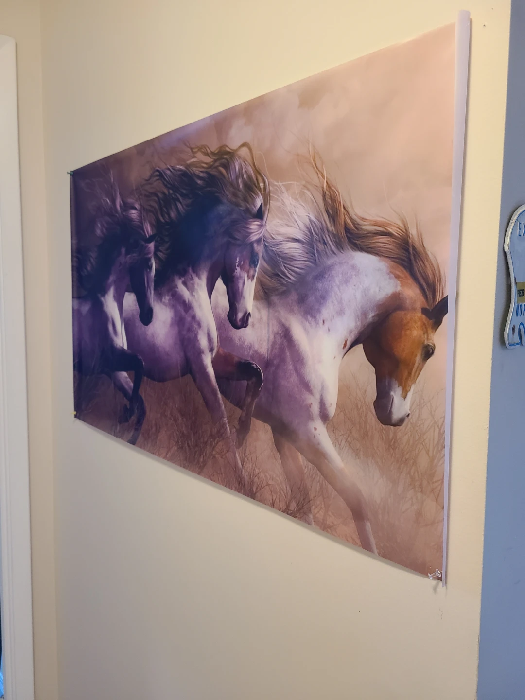 Horse print