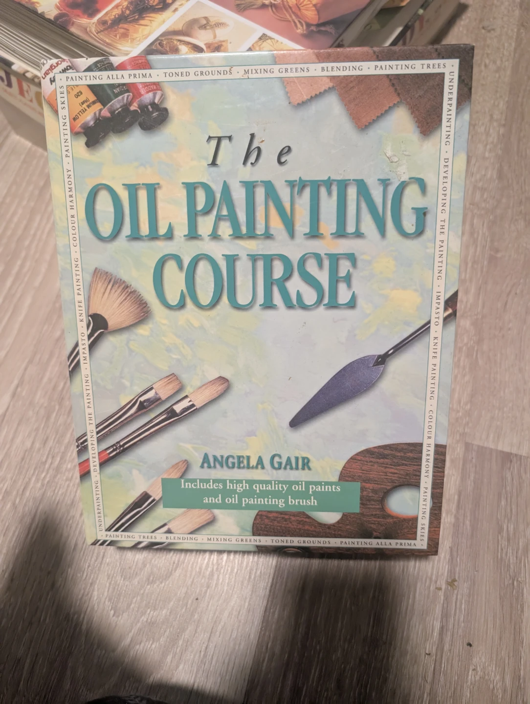 The Oil Painting Course by Angela Gair