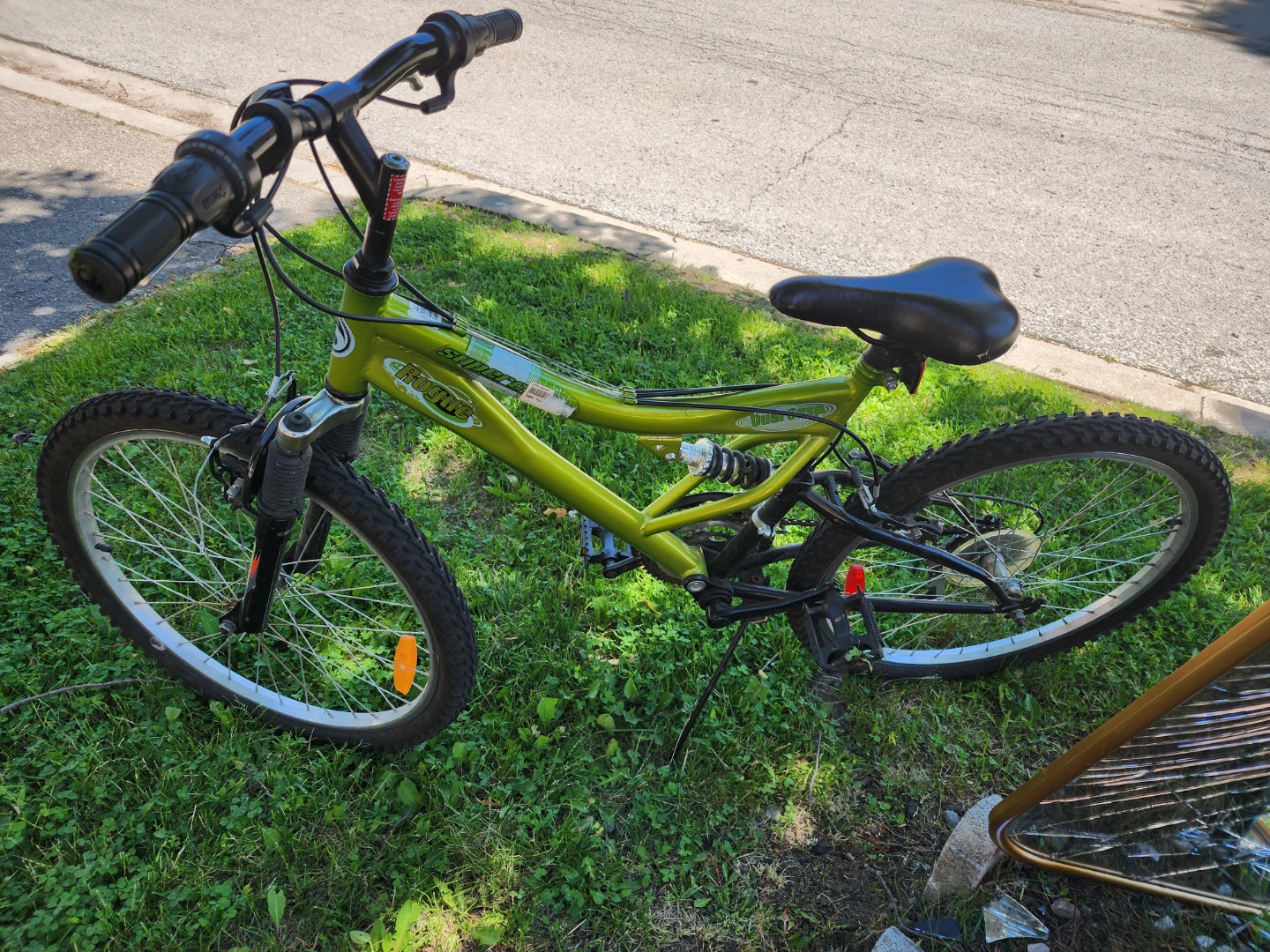 Green Rogue Mountain Bike