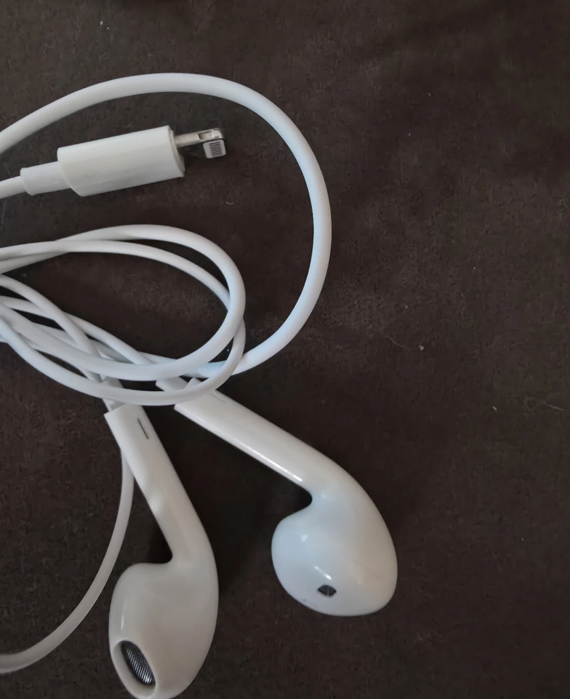 🥕Apple EarPods with Lightning Connector
