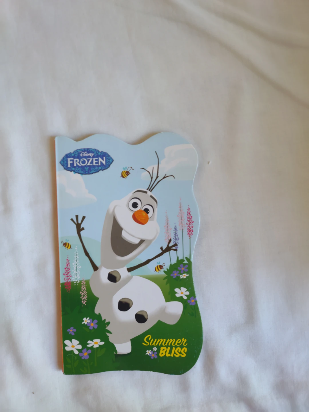 Frozen Summer Bliss boardbook