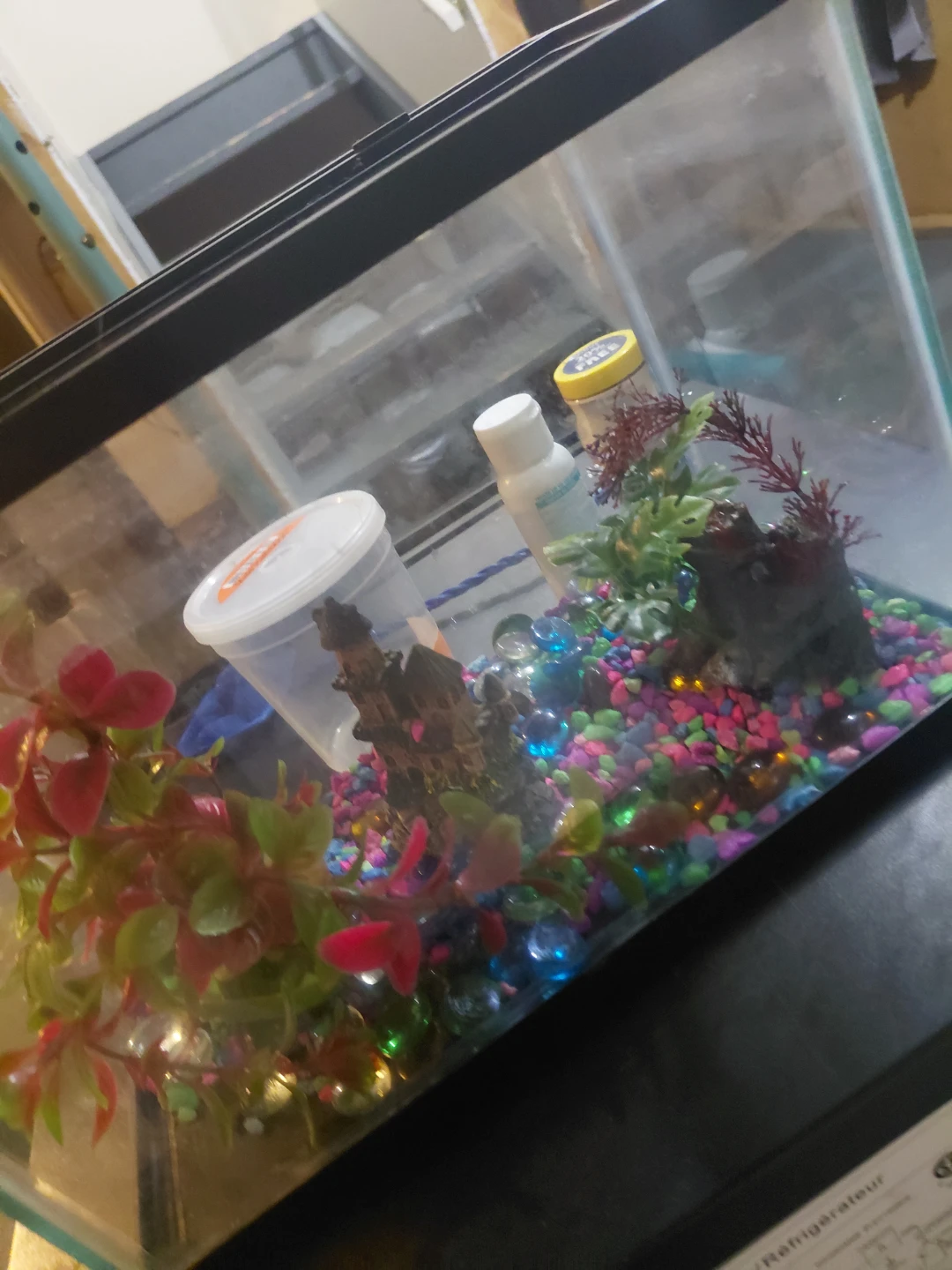 Aquarium Starter Kit with Fish Food and Water Conditioner - photo 3