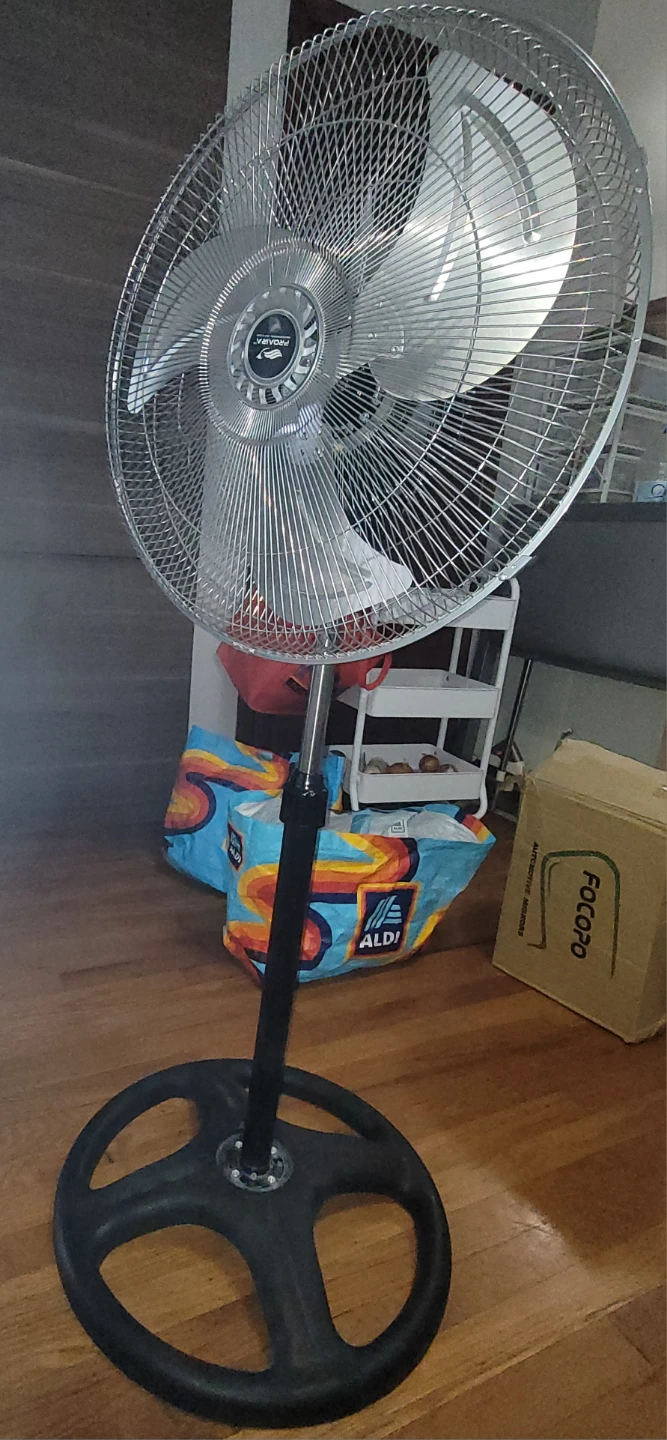 PROAIRA Pedestal Fan