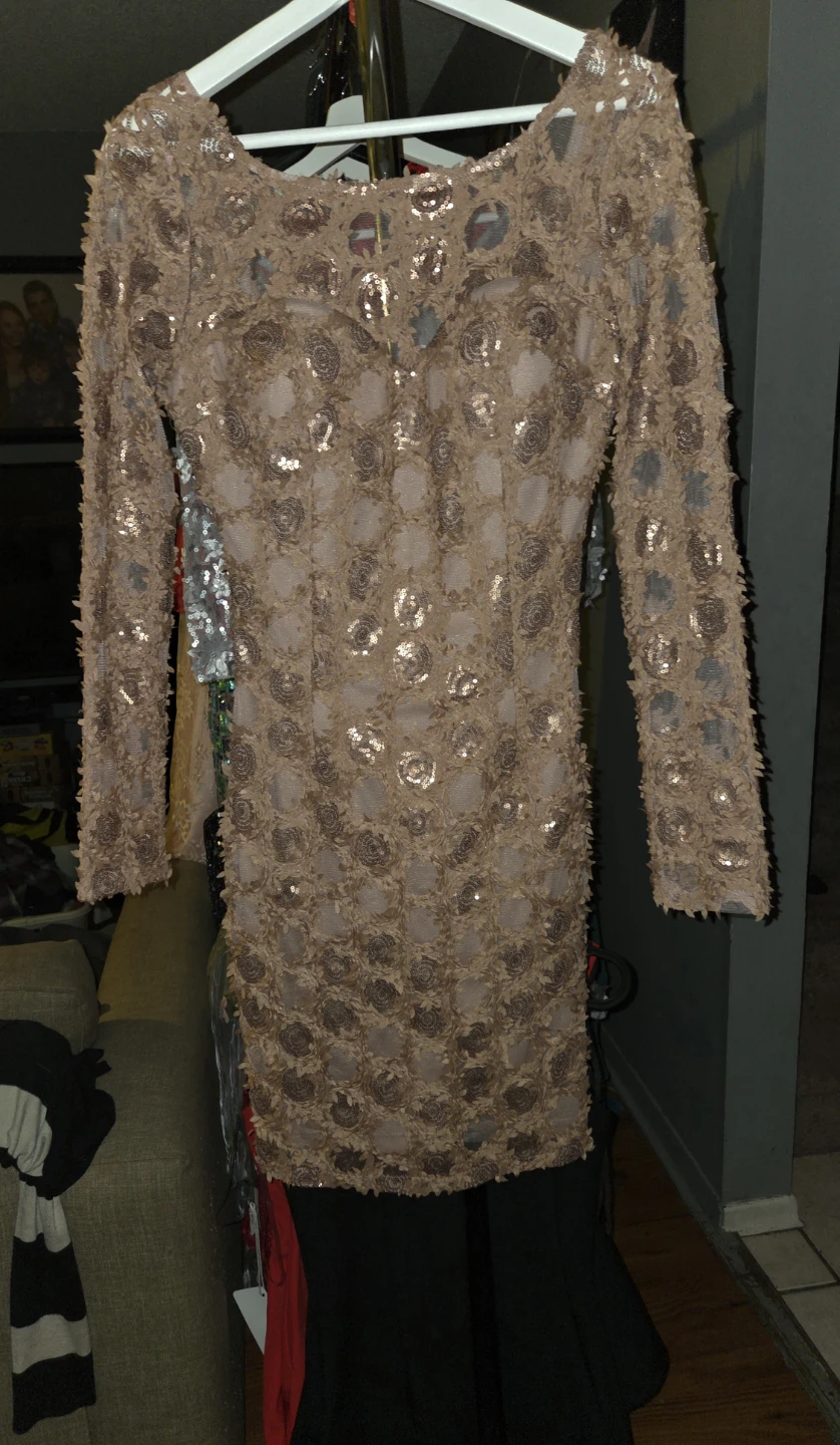 Sequin Rose Embellished Long Sleeve Dress