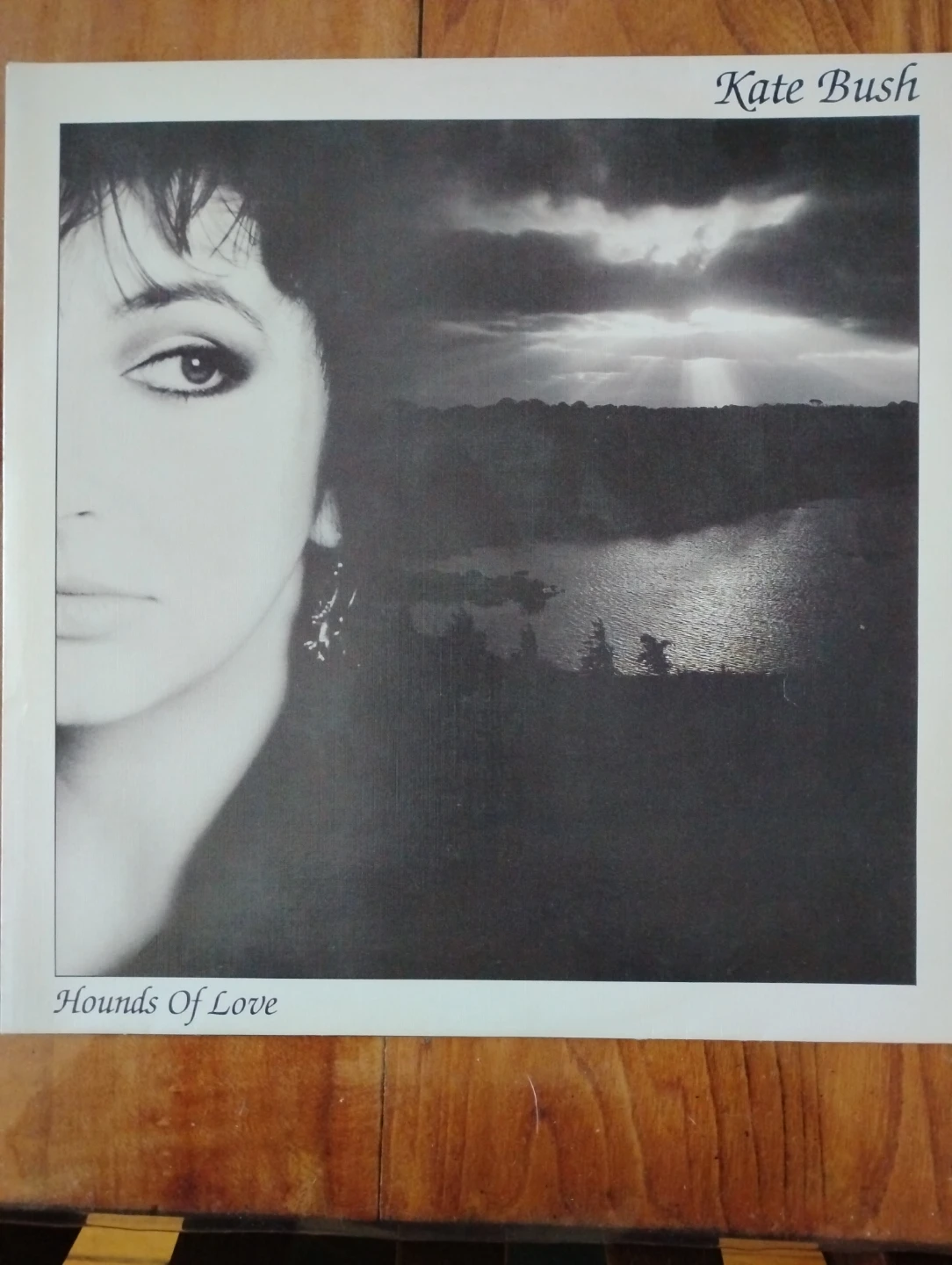 Kate Bush Hounds of Love