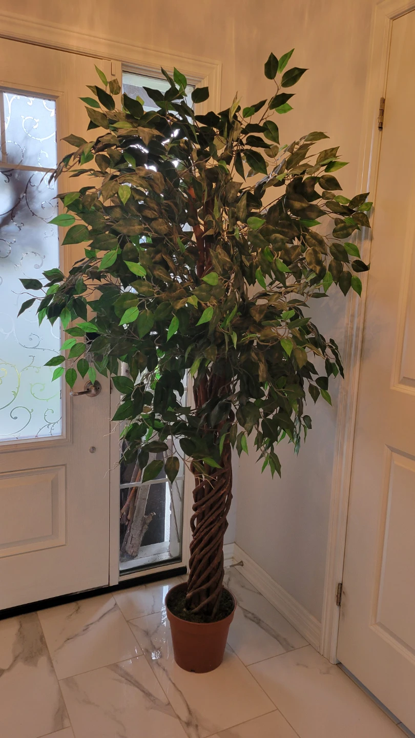 Artificial Ficus Tree