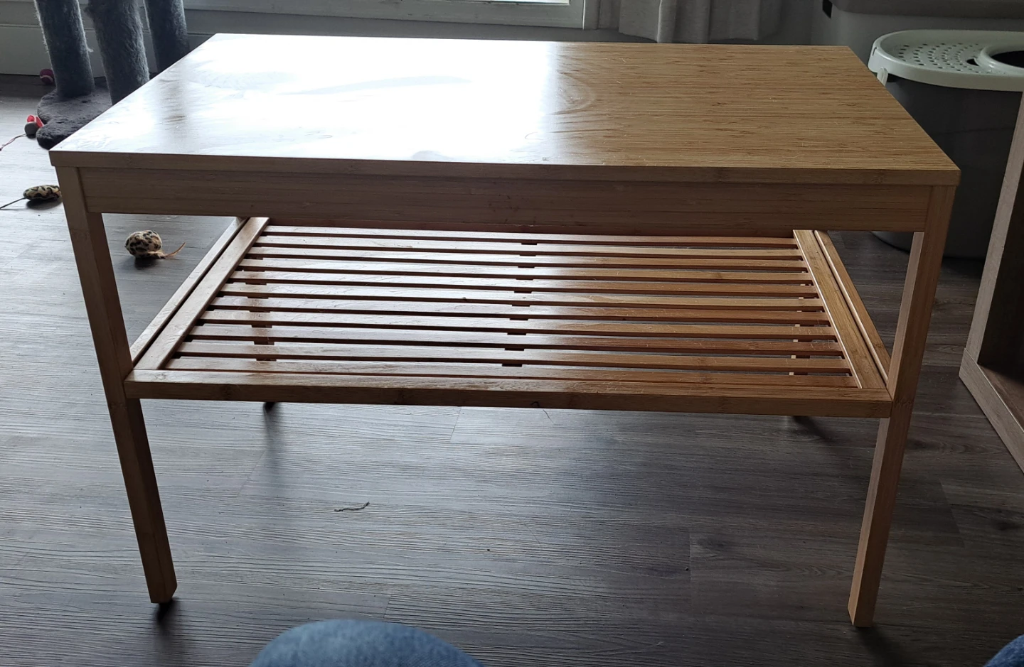 Bamboo Coffee Table with Shelf