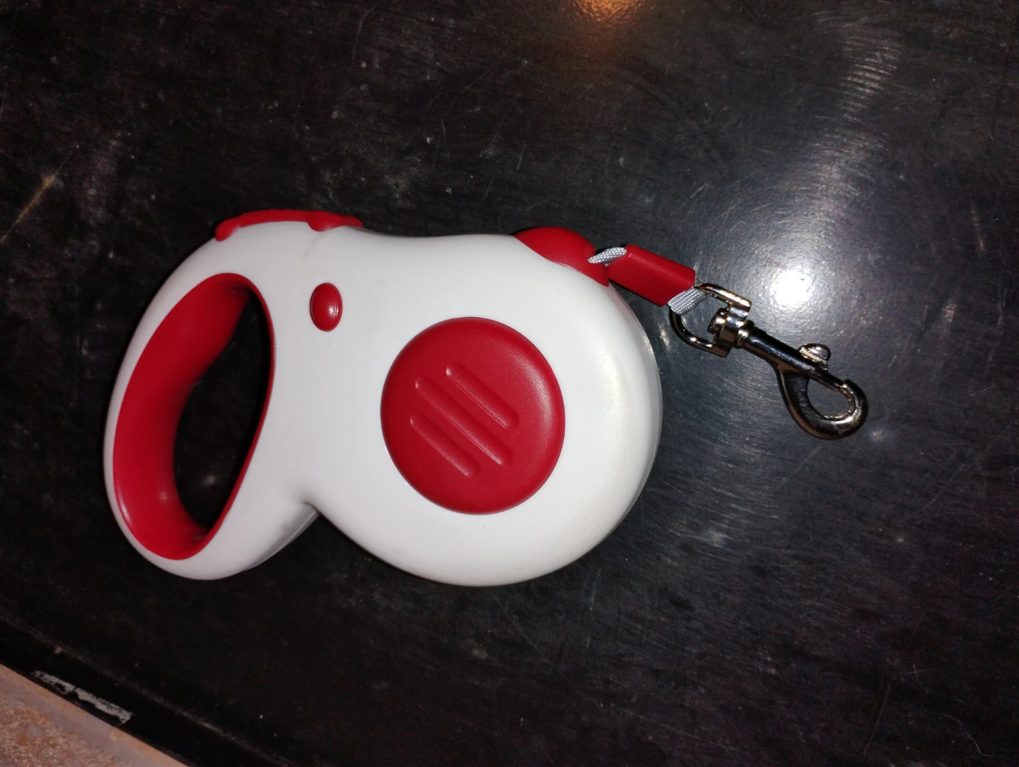 Retractable Dog Leash