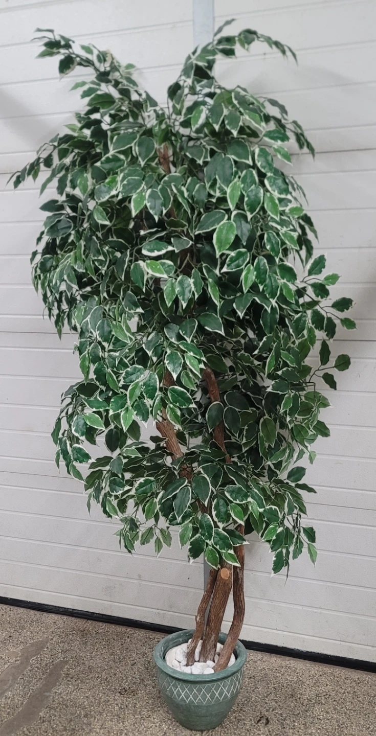Artificial Ficus Tree in Pot - photo 2